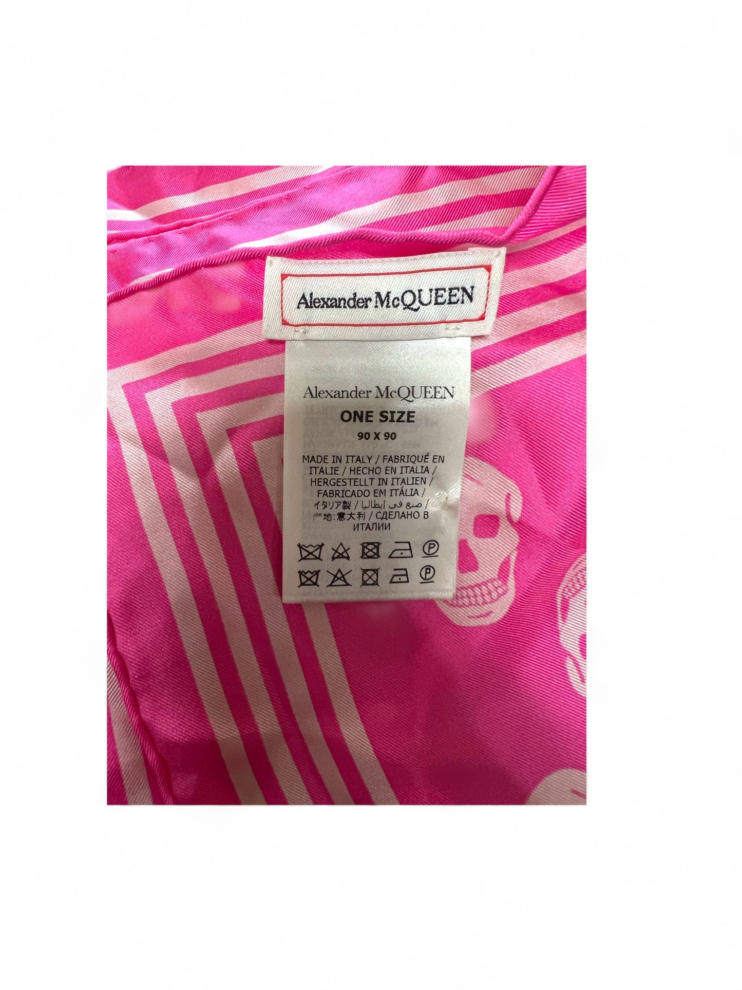 Alexander McQueen Skull Printed Striped Edge Scarf